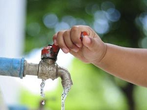 Simple Ways to Conserve Water